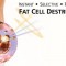 SmartLipo: Laser λιπαναρρόφηση και λιπογλυπτική SmartLipo: Laser λιπαναρρόφηση και λιπογλυπτική